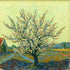 Blühender Baum im Van-Gogh-Stil, weiß-rosa Blüten, 30x30 cm Leinwanddruck