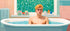 Gay Art Canvas - Junger Mann in Badewanne | Kunstwerk Bilder KUNSTWERK BILDER