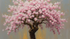 Kirschblütenbaum in voller Blüte - Rosa-weiße Blütenwolke - Impressionistischer Stil - Leinwand Keilrahmen
